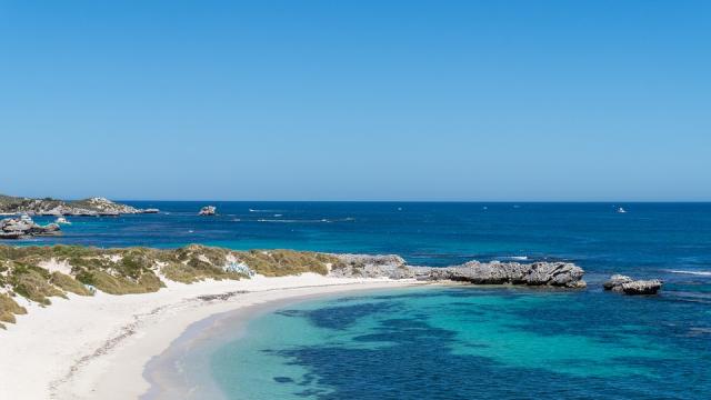 vue de la plage sur l'île de Rottnest