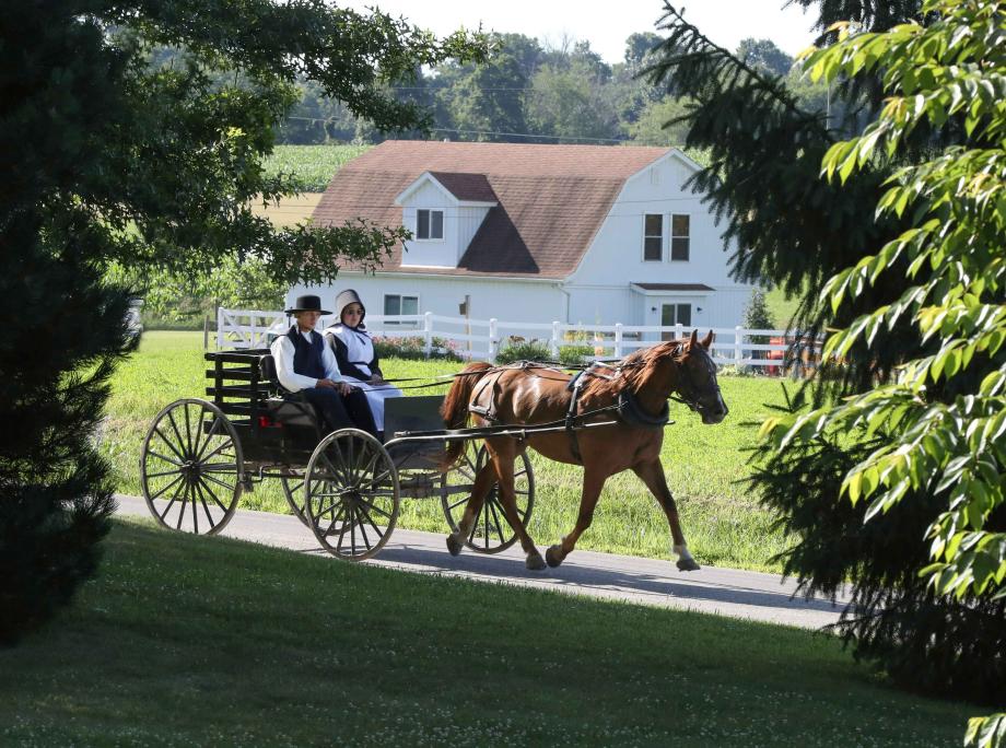Les Amish aux États-Unis couple amish dans une calèche tirée par des chevaux