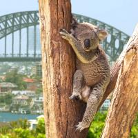  Au pair Australie